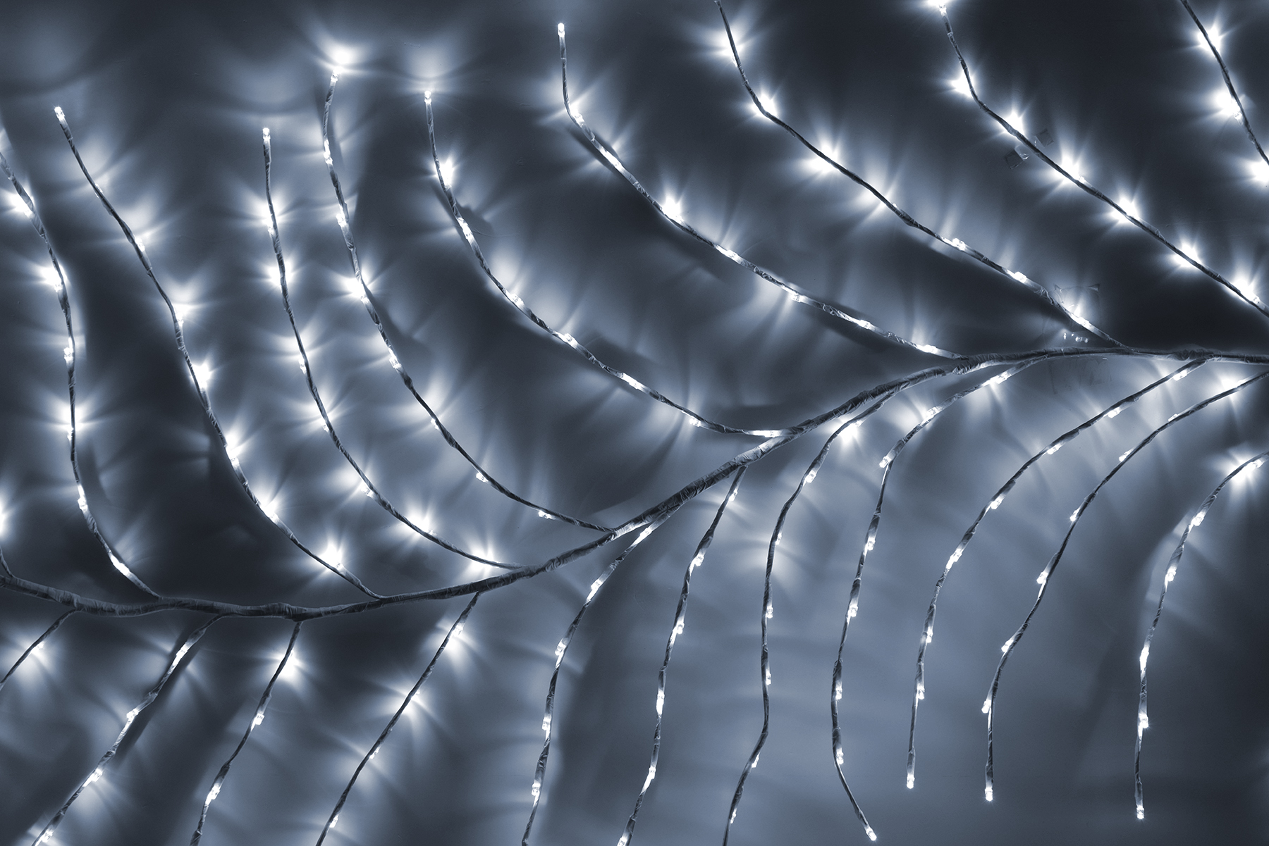 LED-FTSL-300-2,5M-větev bílá