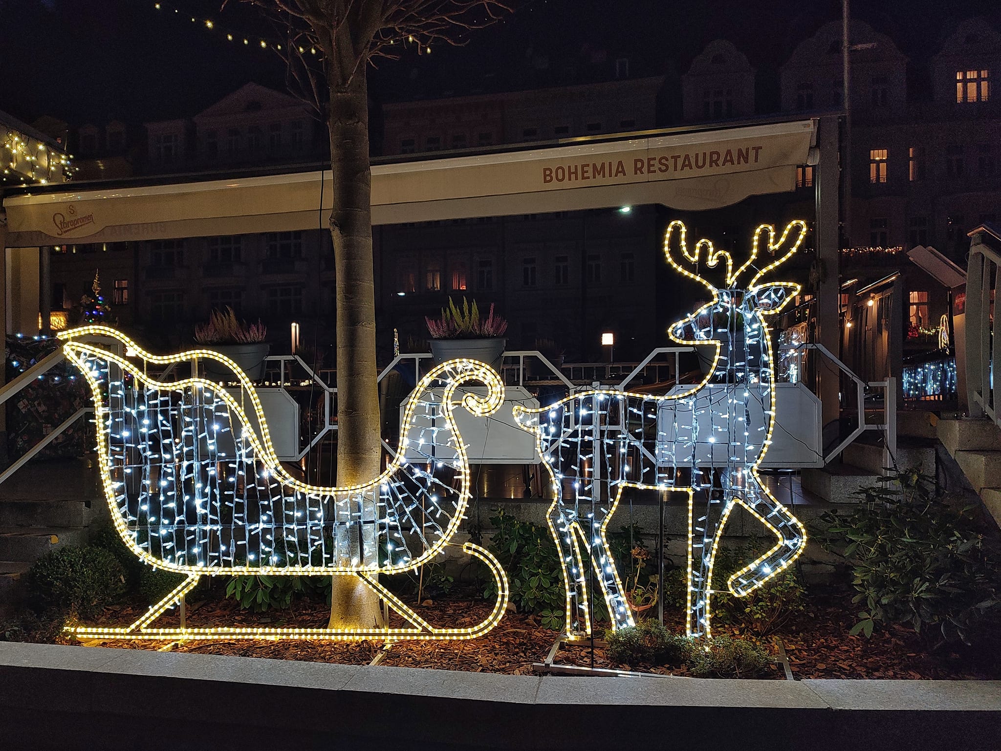 2D LED jelen hledící do strany - N9/21 - 24 V - 175 x 119 cm - solitér