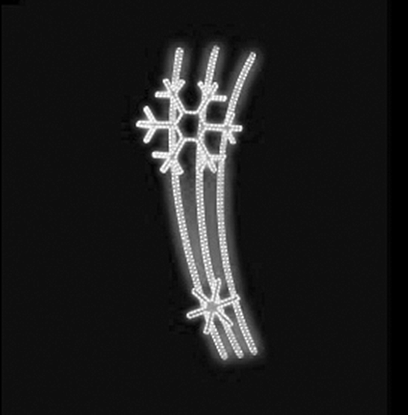 Světelný Dekor LED 5791 - 90x227cm