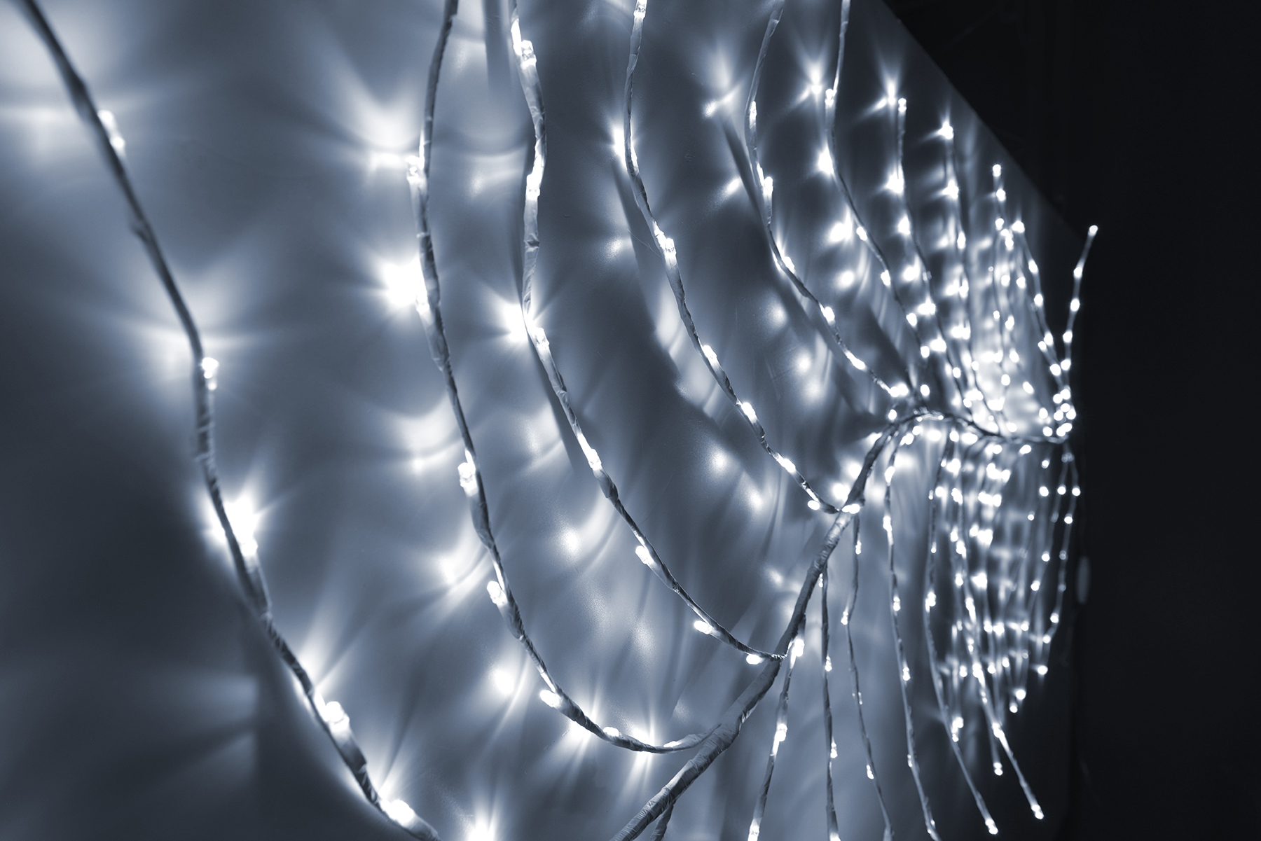 LED-FTSL-300-2,5M-větev bílá