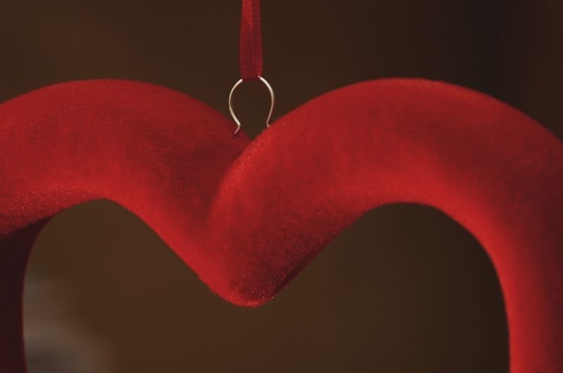 2D závěsná valentýnská holubice se srdci