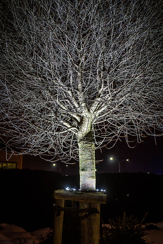 Flexibilní LED řetězový reflektor TF-FW-002-3030-24V - studená bílá