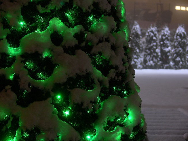 Světelný řetěz LED-PL-40 zelená/čk 4m, 40 LED