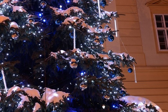 Snowfall FLS-D-0,5M x 5-240L oboustranný - venkovní - bílá